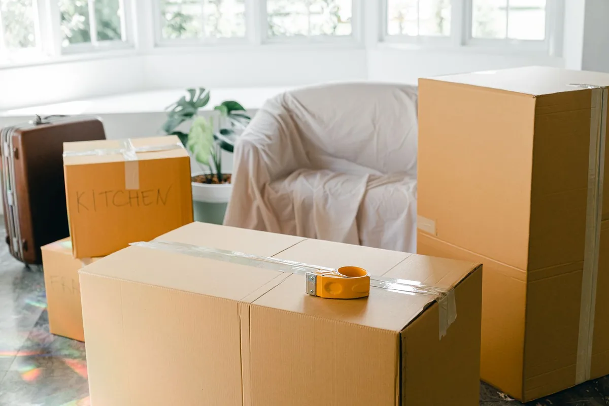 Hoarding Cleanup in Manton, MI